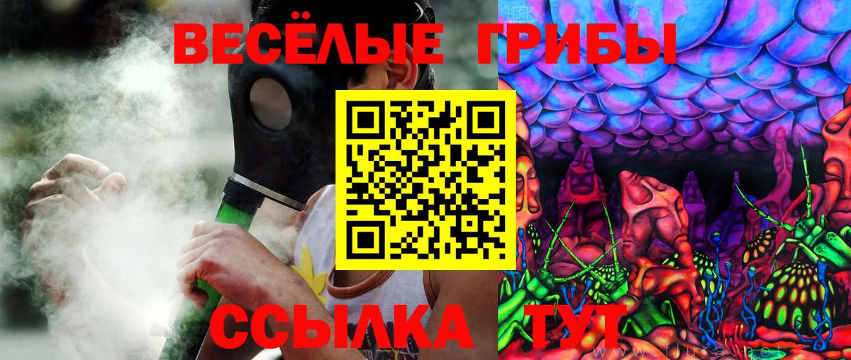 Псилоцибиновые грибы ЛСД Кингисепп